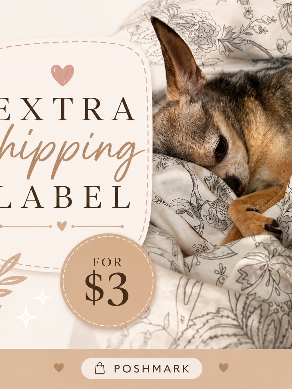 Extra shipping label!